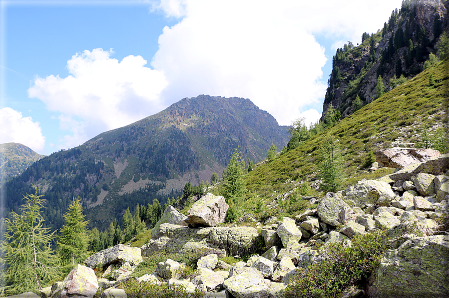 foto Forcella delle Tavarade